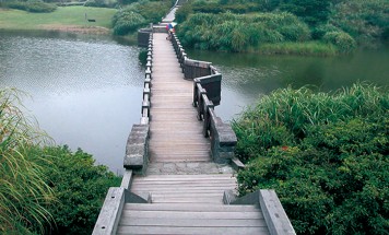 木桥·木栈道